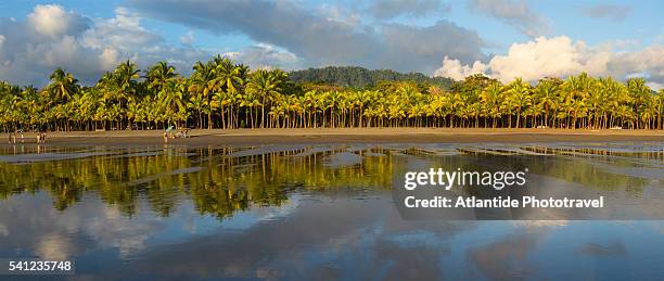 low tide sunset on playa linda near dominical - puntarenas stock pictures, royalty-free photos & images