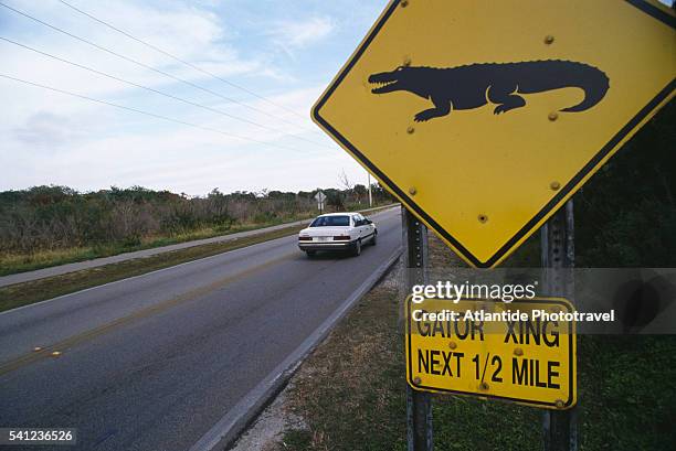 Alligator Point Sign Beware Of Alligator Sign Photos and Premium High Res Pictures - Getty ...
