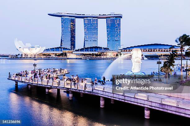 marina bay, the merlion park, the artscience museum and the marina bay sands hotel (moshe safdie architect) - merlion park stock pictures, royalty-free photos & images