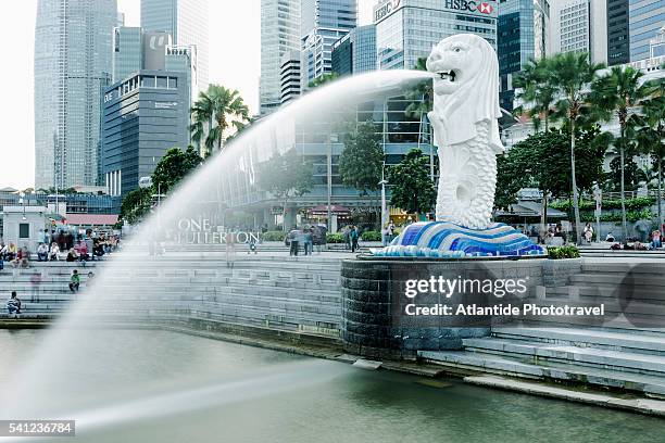 marina bay, the merlion park and the downtown - merlion statue stock pictures, royalty-free photos & images