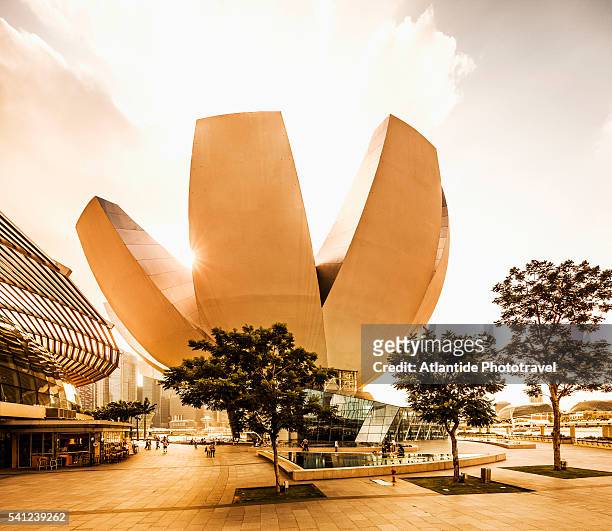 marina bay, view of the artscience museum (moshe safdie architect) - artscience museum stock pictures, royalty-free photos & images