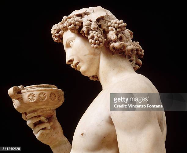 Detail of Bust from Bacchus by Michelangelo