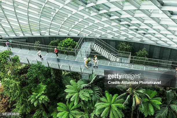 gardens by the bay, cloud forest dome (best buildings of 2012 section: landscape, architect: wilkinson eyre and grant associates), the interior - singapore gardens stock-fotos und bilder