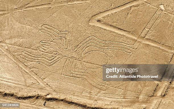 Nazca Insectoids Nazca Desert Photos and Premium High Res Pictures - Getty Images