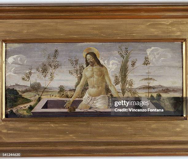 Precedella Predella Painting Photos and Premium High Res Pictures - Getty Images