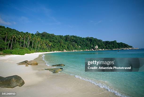 beach at perhentian besar - mar cinese foto e immagini stock