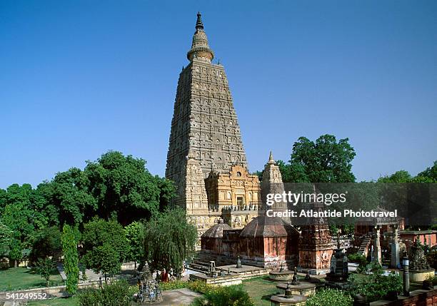 mahabodhi temple - bihar bildbanksfoton och bilder