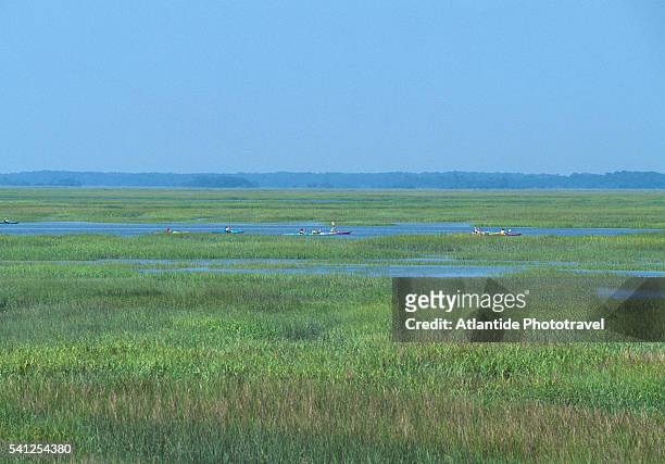 marsh landscape near village creek - st simons island stock pictures, royalty-free photos & images