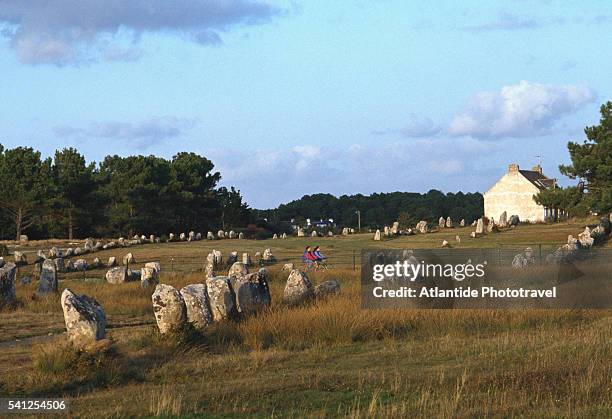 menhir rows in menec - carnac stock pictures, royalty-free photos & images