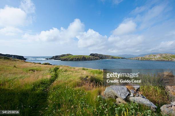 ballydonegan bay, ring of kerry, kerry county, ireland - county kerry stock pictures, royalty-free photos & images