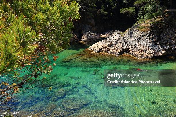 view of the coast from the panoramic road to sant feliu de guixols - tossa de mar bildbanksfoton och bilder