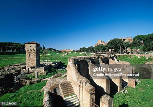 ruins of the circus maximus - circo máximo fotografías e imágenes de stock