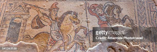 tzippori (or sepphoris, or zippori) national park, nile house, mosaic with a scene of hunting amazons - tzippori stock pictures, royalty-free photos & images