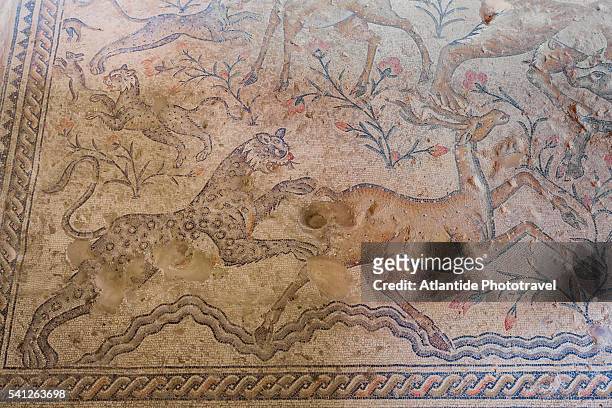 tzippori (or sepphoris, or zippori) national park, nile house, mosaic with animals during a hunting scene - tzippori stock pictures, royalty-free photos & images