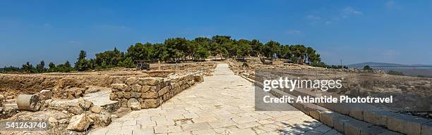 tzippori (or sepphoris, or zippori) national park, the decumanus maximus and the ruins - tzippori stock pictures, royalty-free photos & images