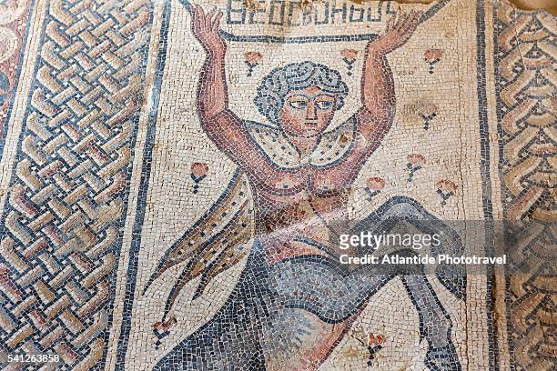 tzippori (or sepphoris, or zippori) national park, nile house, detail of a mosaic with a centaurs - tzippori stock pictures, royalty-free photos & images