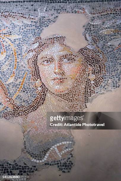 tzippori (or sepphoris, or zippori) national park, the famous mosaic called the mona lisa of the galilee in a roman villa (called villa of dionysus) - tzippori stock pictures, royalty-free photos & images