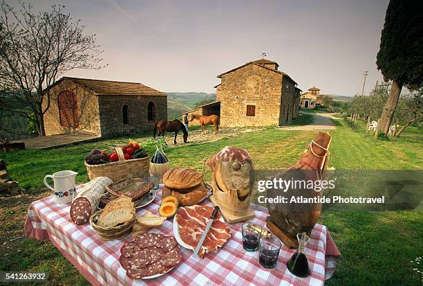 fresh picnic meal - agritourism stock pictures, royalty-free photos & images