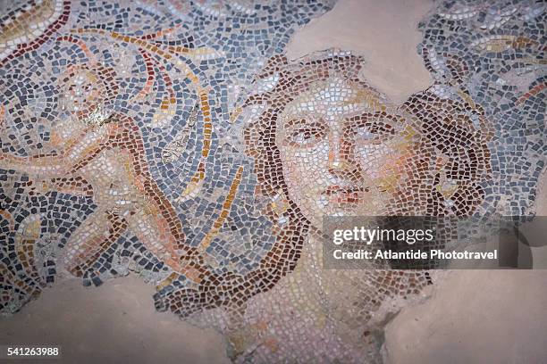 tzippori (or sepphoris, or zippori) national park, the famous mosaic called the mona lisa of the galilee in a roman villa (called villa of dionysus) - tzippori stock pictures, royalty-free photos & images