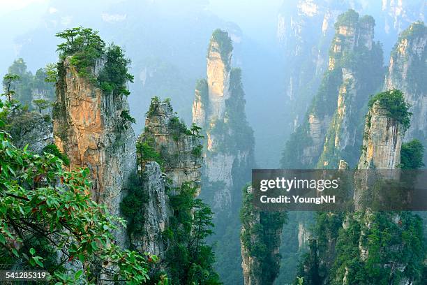 zhangjiajie national forest park - zhangjiajie-national-forest-park stock pictures, royalty-free photos & images