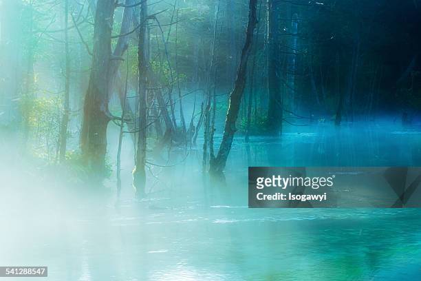 marsh in the morning mist - isogawyi stock pictures, royalty-free photos & images
