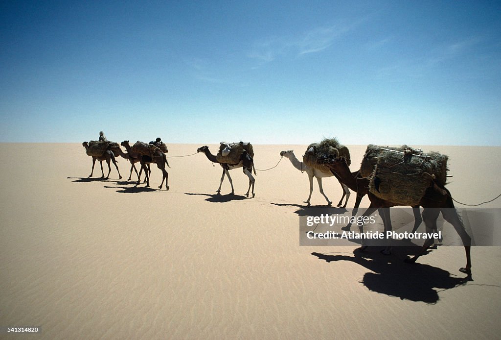 Tuaregh Caravan