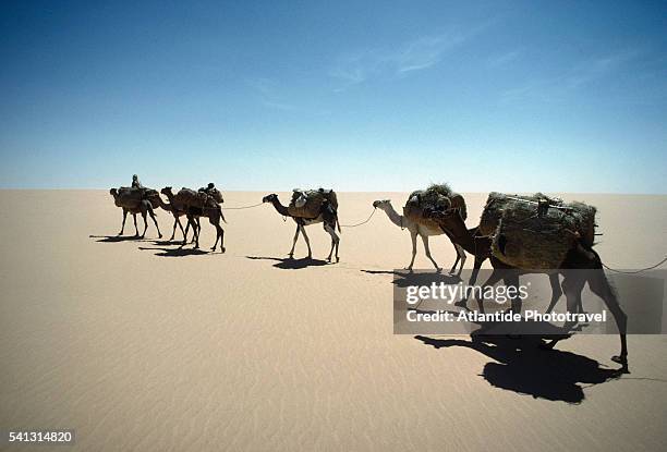 tuaregh caravan - west africa stock pictures, royalty-free photos & images