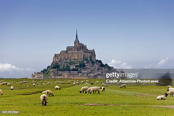 mont saint michel - normandie stockfoto's en -beelden