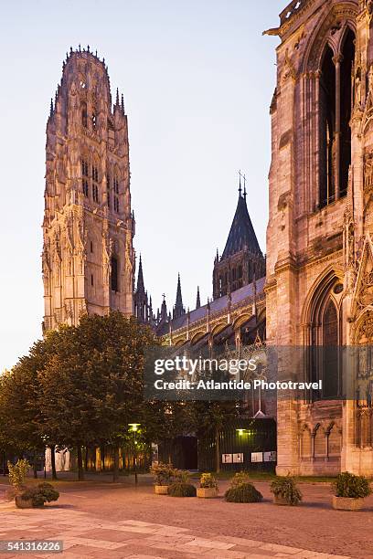 view of the cathedral of notre dame - kathedraal stockfoto's en -beelden