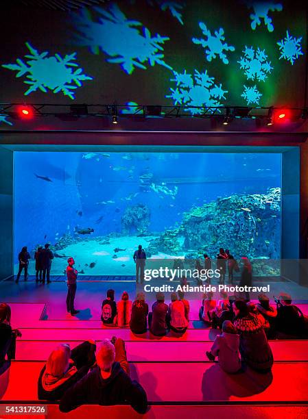 kastrup, den blå planet (national aquarium denmark), the interior during the christmas period (3xn architects) - blå stock-fotos und bilder