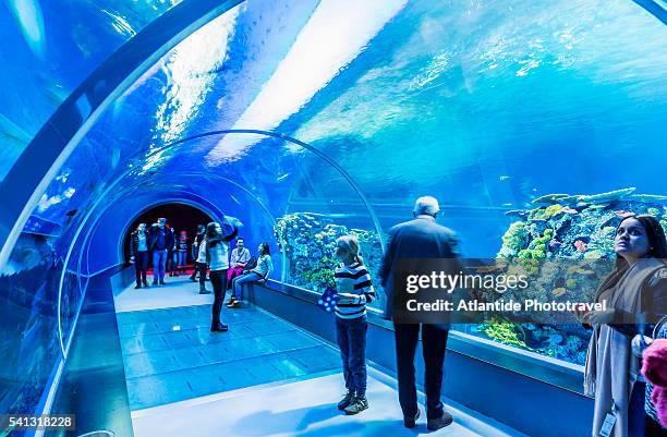 kastrup, den blå planet (national aquarium denmark), the interior - blå stock-fotos und bilder