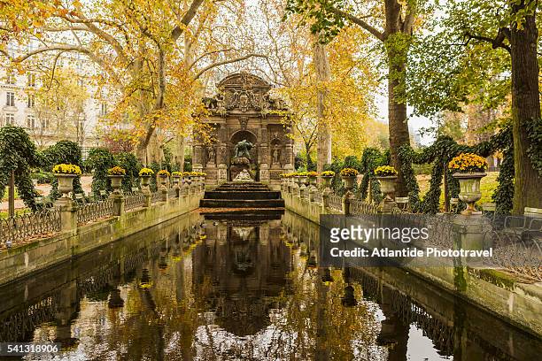 jardin (garden) du luxembourg, la fontaine medicis (medici fountain) in autumn (fall) - jardin du luxembourg photos et images de collection