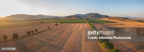 air view of la badiola - grosseto province stock pictures, royalty-free photos & images