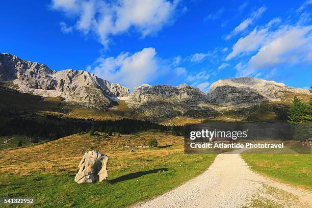jof montasio . view of the mountain - tarvisio stockfoto's en -beelden
