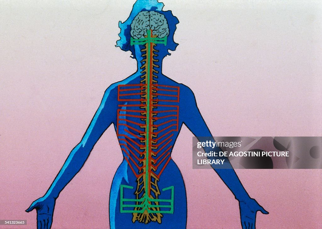 Heart rate variability caused by emotional stress...