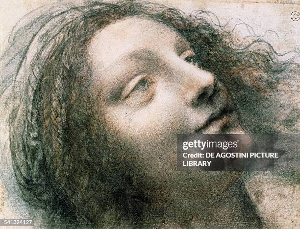 Head of the Virgin, 1508-1512, by Leonardo da Vinci , drawing in clack chalk, charcoal, and red chalk, with some traces of white chalk on card....