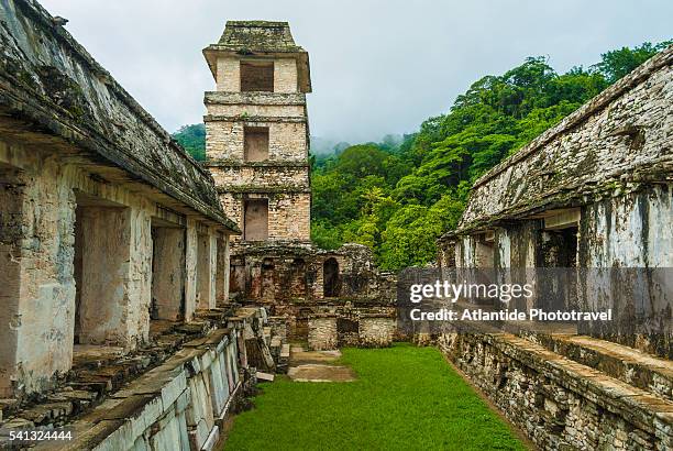 mayan archaeological site - palenque stock-fotos und bilder