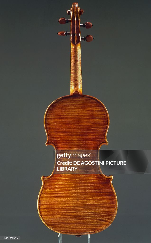 Rear view of a violin...