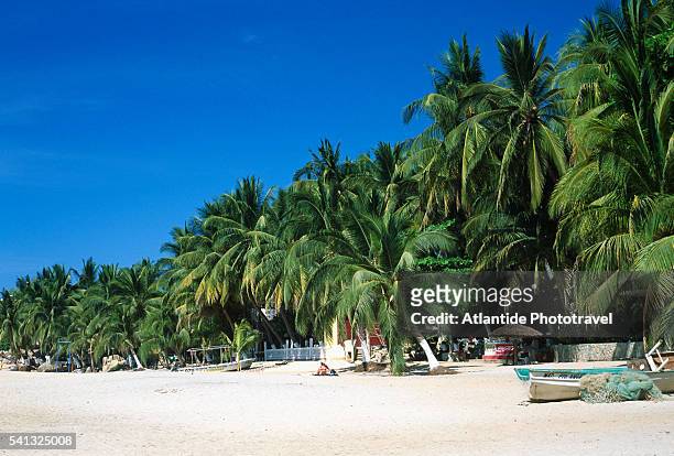 palm trees at puerto escondido beach - puerto escondido stock pictures, royalty-free photos & images