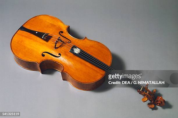 Cello, ca 1645-1660, by Nicolo Amati, Cremona. Italy, 17th century. Florence, Museo Strumenti Musicali Conservatorio Cherubini