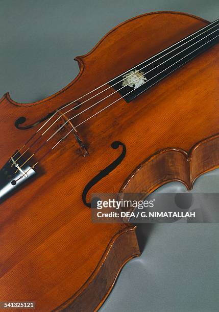 Cello, ca 1645-1660, by Nicolo Amati, Cremona. Italy, 17th century. Detail. Florence, Museo Strumenti Musicali Conservatorio Cherubini