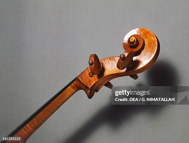 Scroll, detail of a cello, ca 1645-1660, by Nicolo Amati, Cremona. Italy, 17th century. Florence, Museo Strumenti Musicali Conservatorio Cherubini