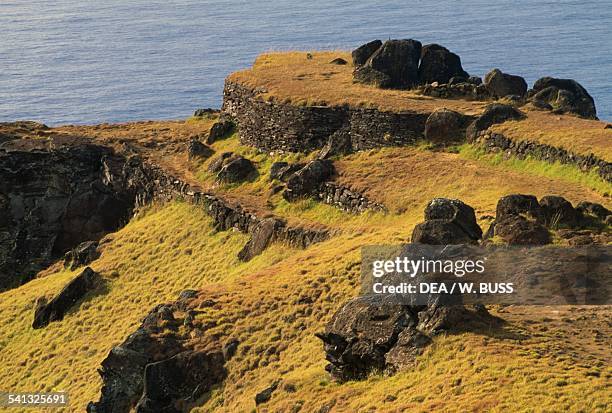 Orongo Rocks Rapanui Rock Photos and Premium High Res Pictures - Getty Images