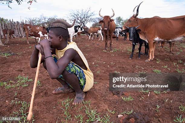 opuwo area, himba people - opuwo photos et images de collection