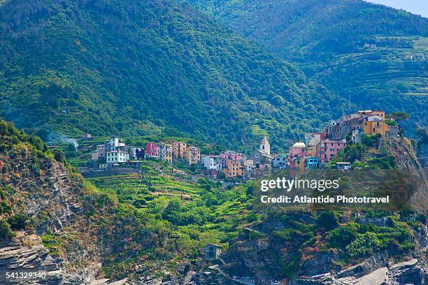 cinque terre national park - corniglia stock pictures, royalty-free photos & images