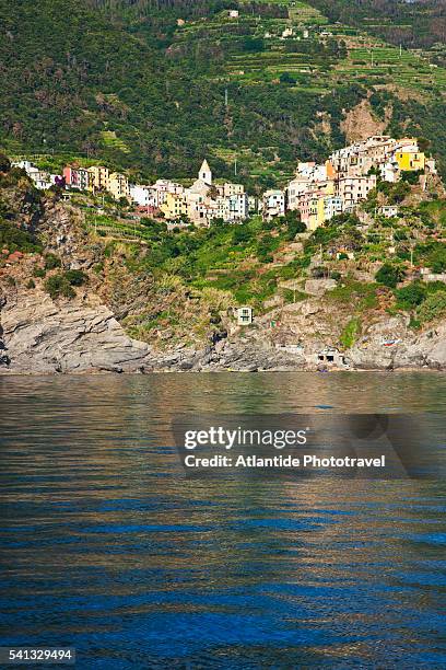 cinque terre national park - corniglia stock pictures, royalty-free photos & images