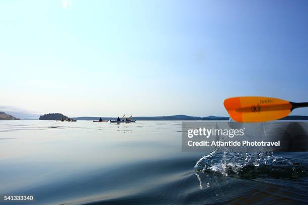 san juan island - オール ストックフォトと画像