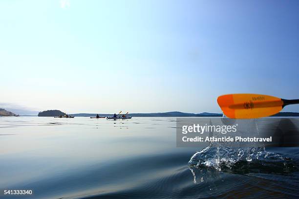 san juan island - oar stock pictures, royalty-free photos & images