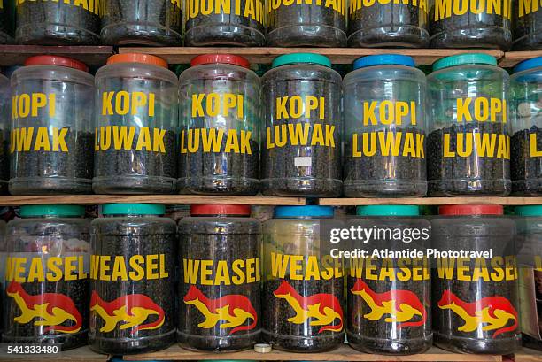 kopi luwak coffee for sale, coffee beans eaten and digested by the palm civet (luwak), collected by hand and then roasted - palm civet stock pictures, royalty-free photos & images