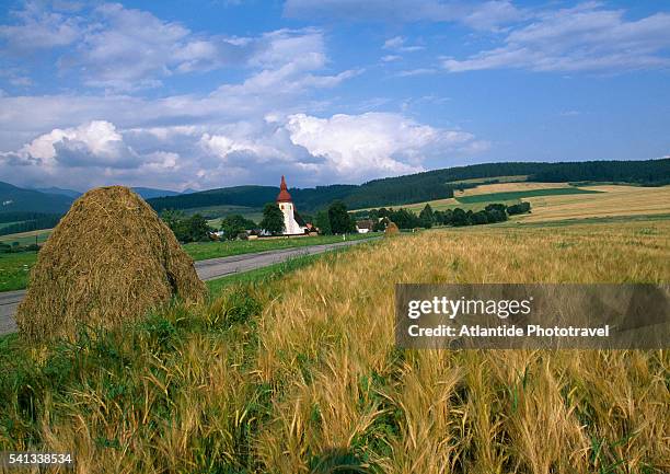 field near liptovske matiasovce - slovakia country stock pictures, royalty-free photos & images